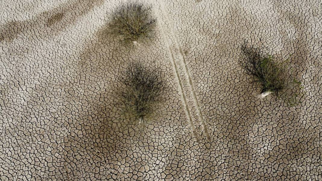 Binlerce hektar 'Mil kuraklığı' etkisinde: Tarım alanı ve meralar yok olmaya yüz tuttu 2